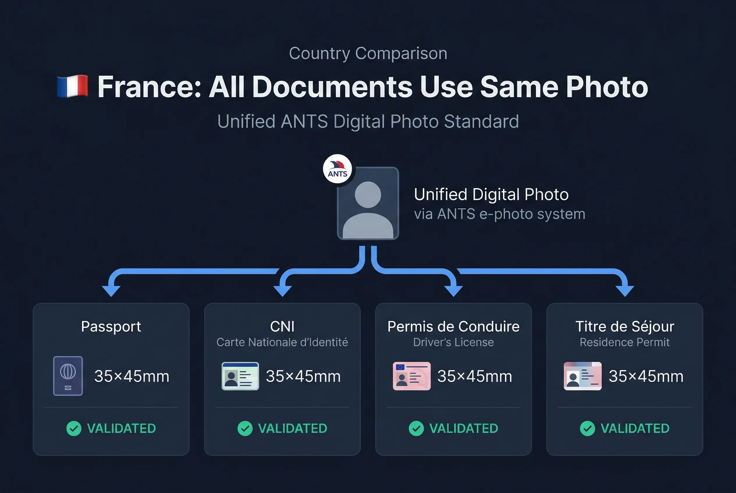 Grid comparing driving licence photo requirements for French permis de conduire versus other countries