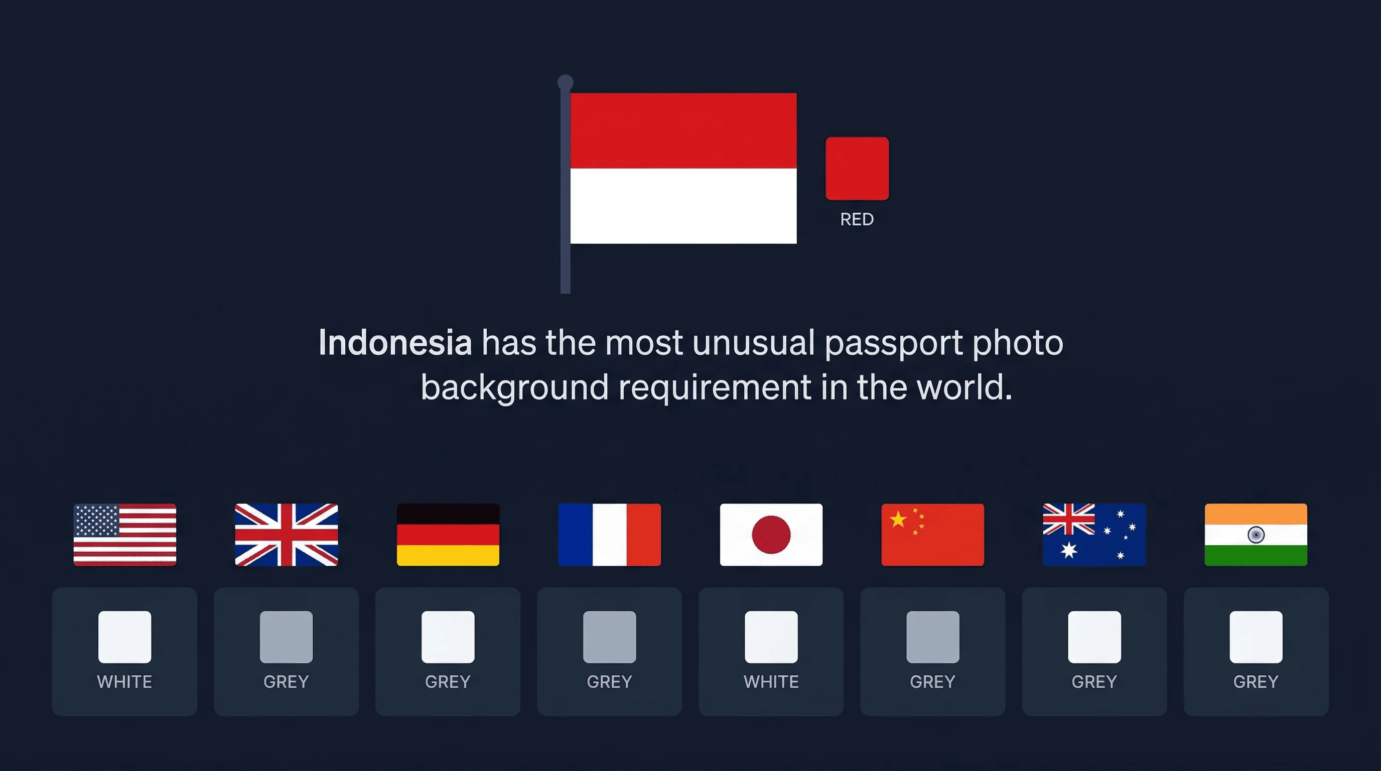 Grid comparing passport photo background requirements across Australia, China, France, Germany, India