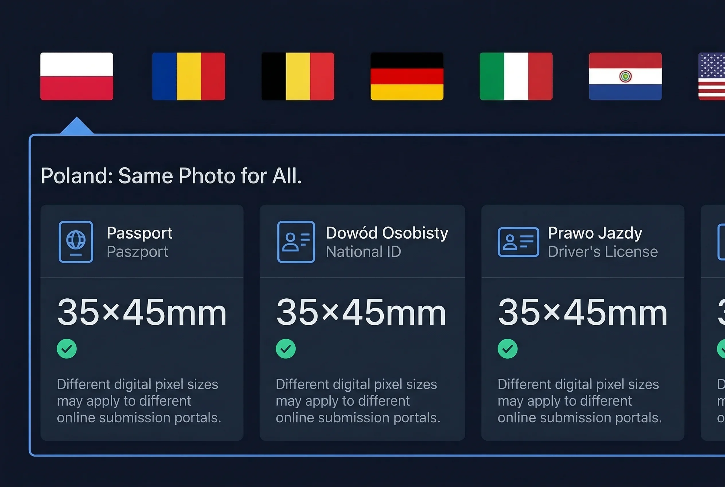 Grid comparing driving licence photo sizes for Polish prawo jazdy versus other countries