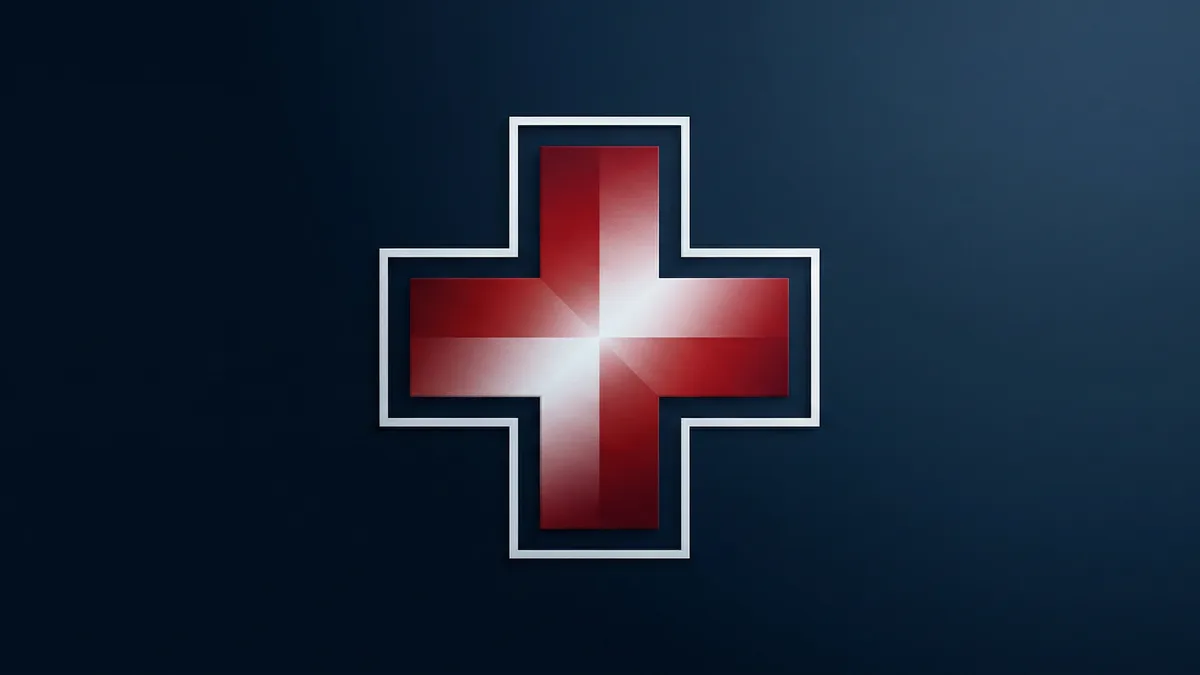 Swiss Führerausweis Photo: Driving Licence Size and Rules