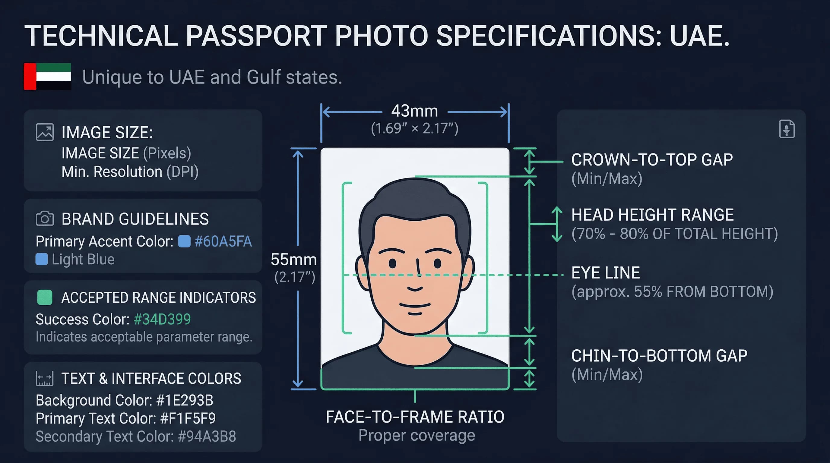 Diagram showing UAE passport photo dimensions